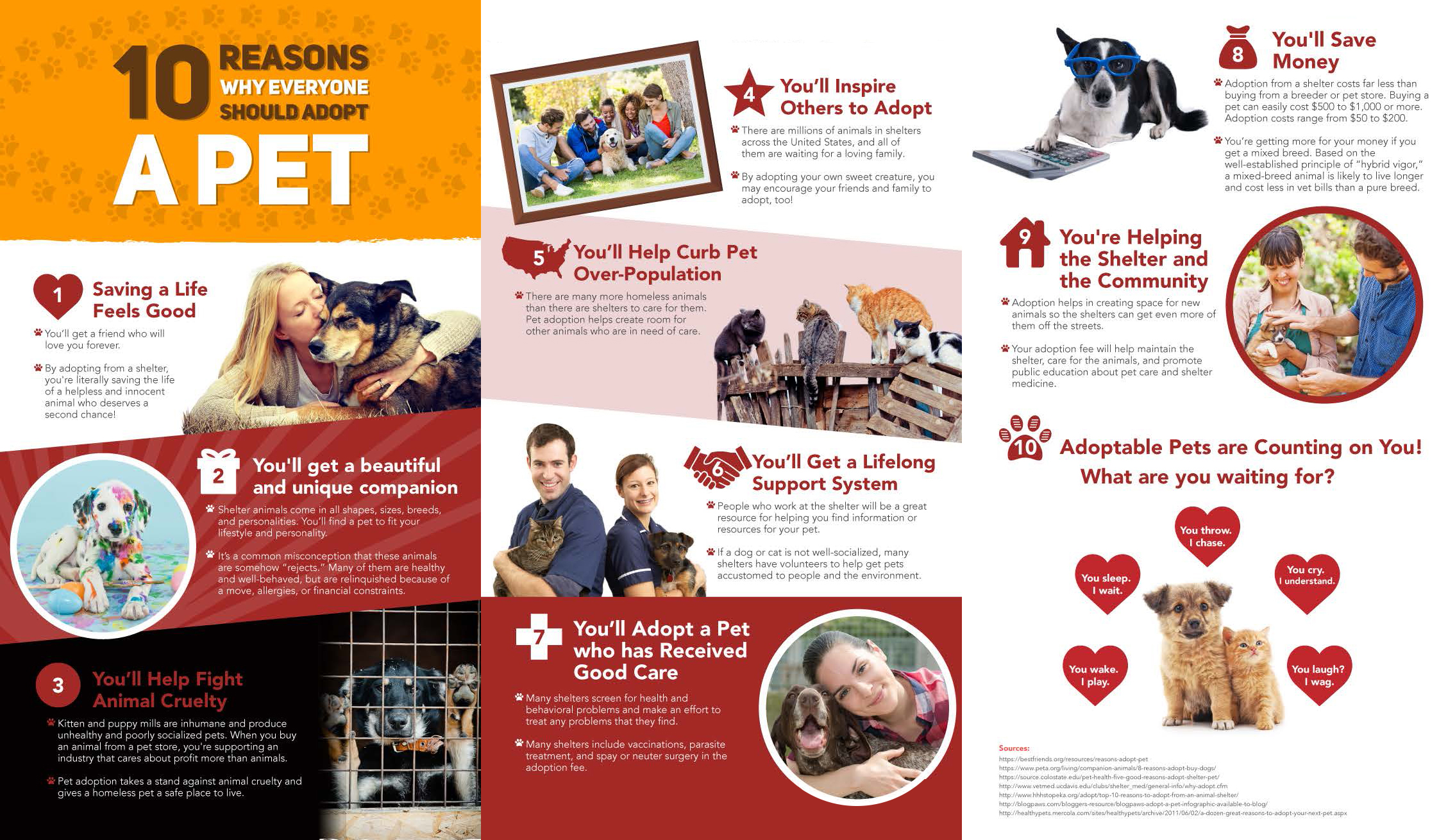 10 Reasons We Love Animal Shelters & Rescues  