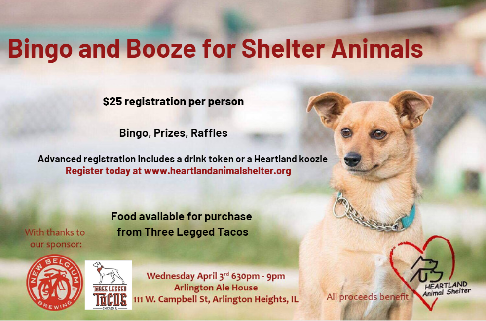 Bingo and Booze 4-3 revised - Heartland Animal Shelter