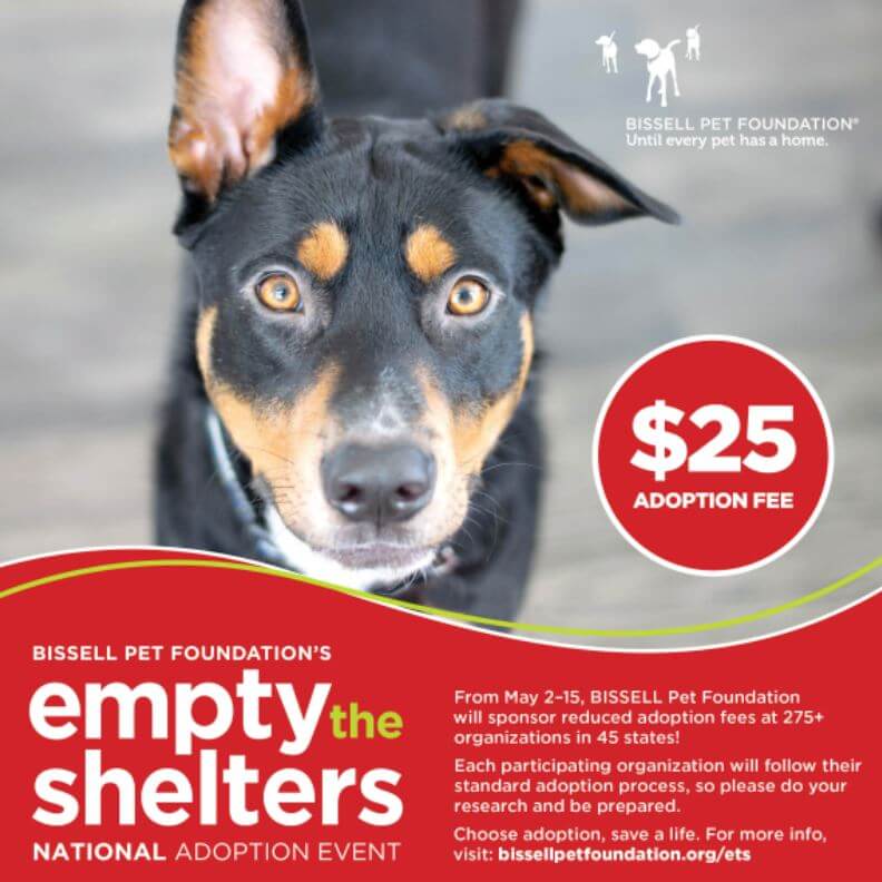 Bissell ETS Dog Heartland Animal Shelter