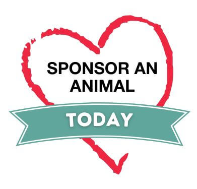 Animal Sponsorships - Heartland Animal Shelter