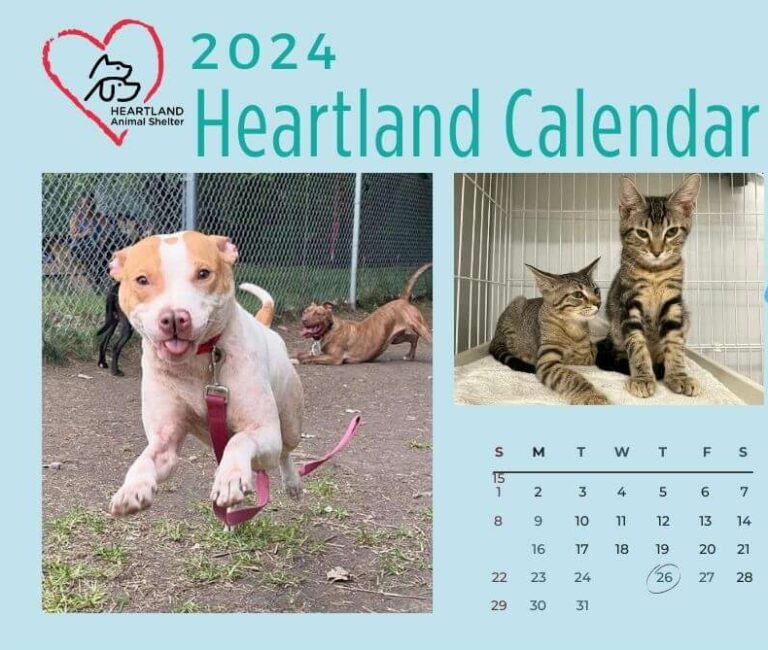 2024 Heartland Calendars Heartland Animal Shelter